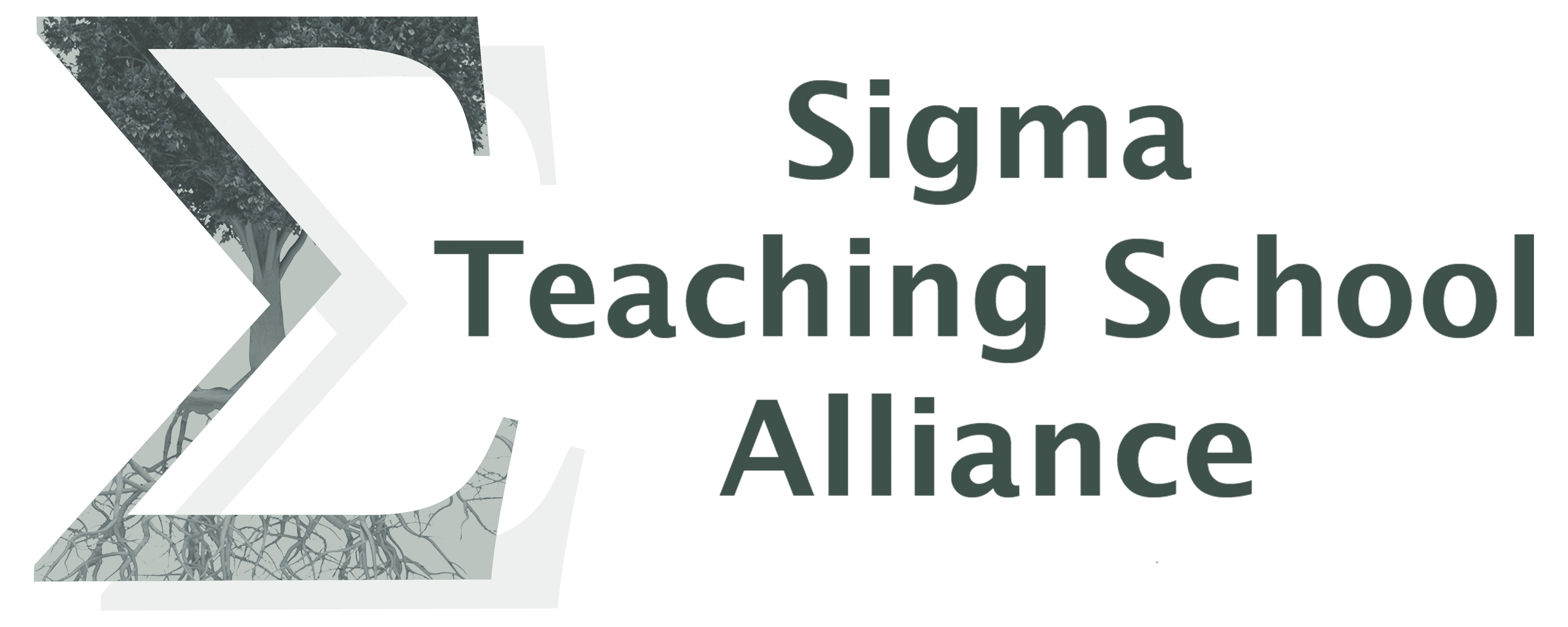 Logo for Sigma Teaching School Alliance